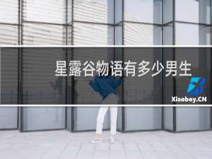 星露谷物语有多少男生