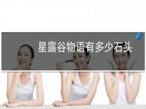 星露谷物语有多少石头