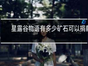星露谷物语有多少矿石可以捐献