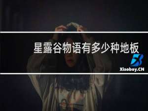 星露谷物语有多少种地板