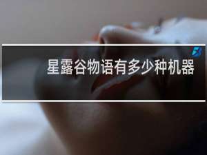 星露谷物语有多少种机器