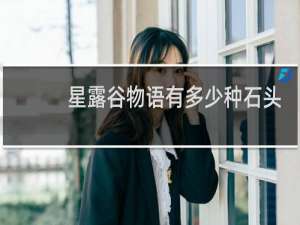 星露谷物语有多少种石头