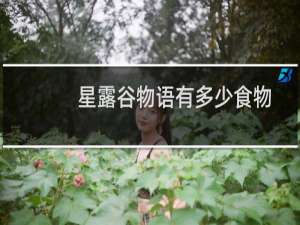 星露谷物语有多少食物