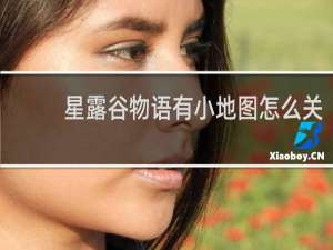 星露谷物语有小地图怎么关