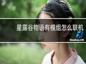 星露谷物语有模组怎么联机