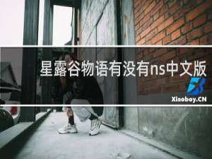 星露谷物语有没有ns中文版