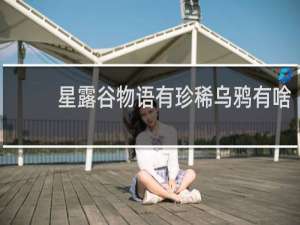 星露谷物语有珍稀乌鸦有啥