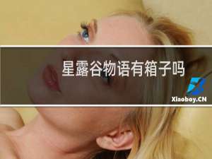 星露谷物语有箱子吗