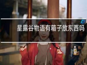 星露谷物语有箱子放东西吗