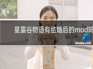 星露谷物语有结婚后的mod吗