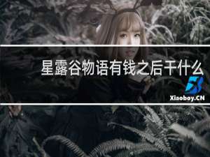 星露谷物语有钱之后干什么