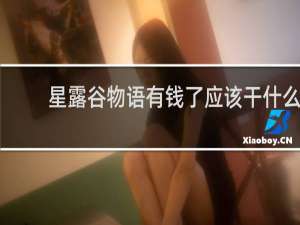 星露谷物语有钱了应该干什么