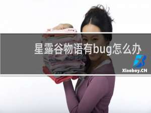 星露谷物语有bug怎么办