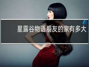 星露谷物语朋友的家有多大