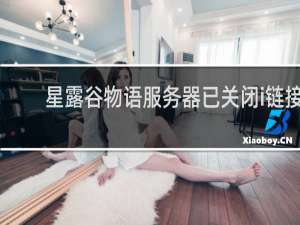 星露谷物语服务器已关闭i链接