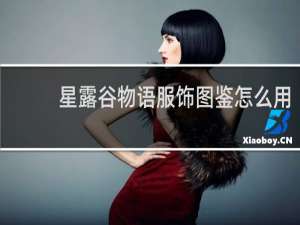 星露谷物语服饰图鉴怎么用