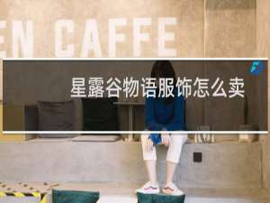 星露谷物语服饰怎么卖