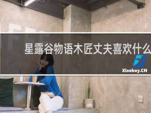 星露谷物语木匠丈夫喜欢什么