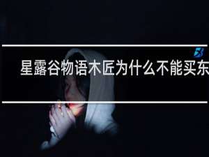 星露谷物语木匠为什么不能买东西