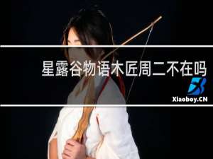 星露谷物语木匠周二不在吗