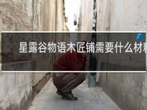 星露谷物语木匠铺需要什么材料