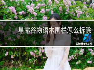 星露谷物语木围栏怎么拆除