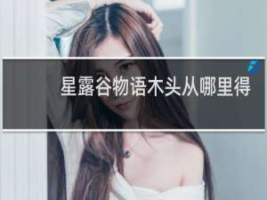 星露谷物语木头从哪里得