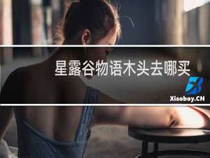 星露谷物语木头去哪买