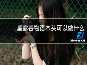 星露谷物语木头可以做什么