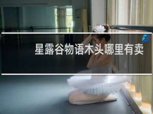 星露谷物语木头哪里有卖