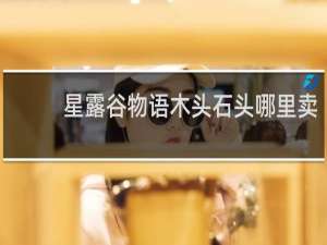 星露谷物语木头石头哪里卖