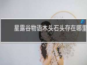 星露谷物语木头石头存在哪里