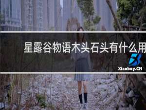 星露谷物语木头石头有什么用