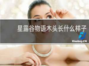 星露谷物语木头长什么样子