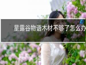 星露谷物语木材不够了怎么办