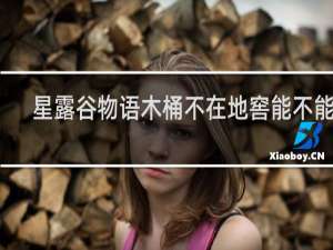 星露谷物语木桶不在地窖能不能用