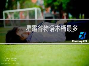 星露谷物语木桶最多