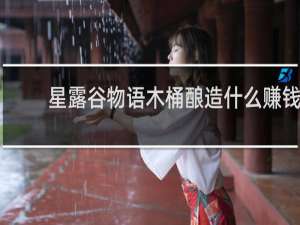 星露谷物语木桶酿造什么赚钱