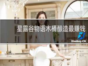 星露谷物语木桶酿造最赚钱