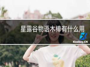 星露谷物语木棒有什么用