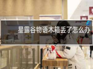 星露谷物语木箱丢了怎么办