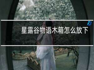 星露谷物语木箱怎么放下