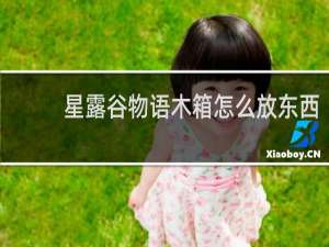 星露谷物语木箱怎么放东西