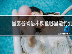 星露谷物语木跃鱼哪里能钓到