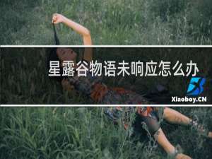 星露谷物语未响应怎么办