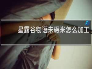 星露谷物语未碾米怎么加工