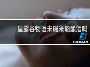 星露谷物语未碾米能酿酒吗