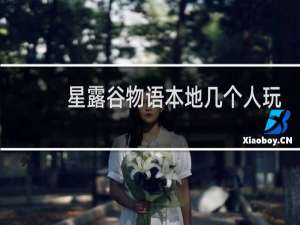 星露谷物语本地几个人玩