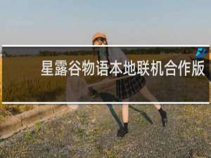 星露谷物语本地联机合作版