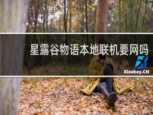 星露谷物语本地联机要网吗